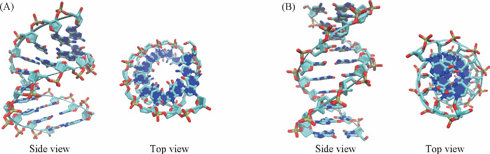 Structures of canonical A-DNA