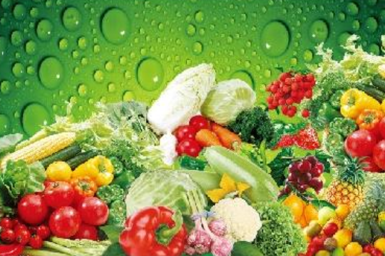 蔬菜废弃物资源化利用的问题和对策